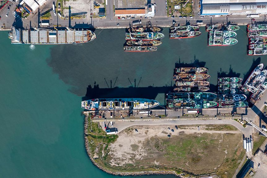 El precio de una foto: así se gestó el caos del ‘Prince of Seas’ en Mar del Plata