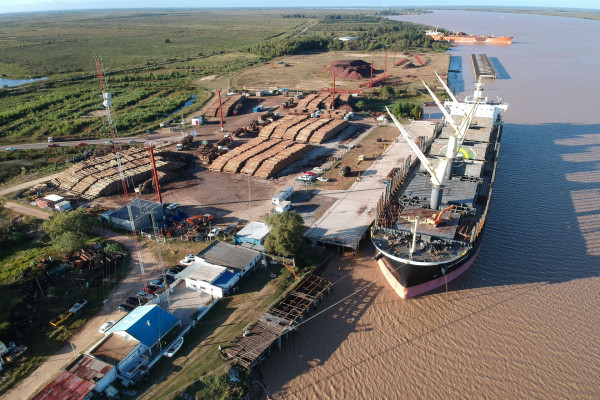 Puerto de Ibicuy retoma la exportación de ganado en pie: Entre Ríos se sube a un negocio global tras medio siglo de prohibición