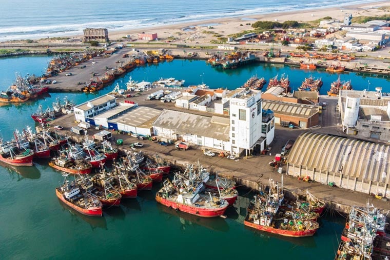 El puerto de Mar del Plata crece más de un 34% en comercio exterior y consolida su perfil exportador